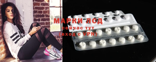 тгк Алзамай