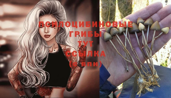 MESCALINE Алексеевка