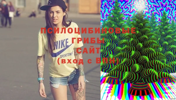 тгк Алзамай