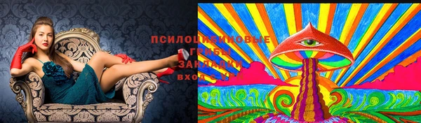 мяу мяу мука Абаза